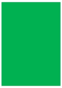 Foglio Verde Foglio verde vero